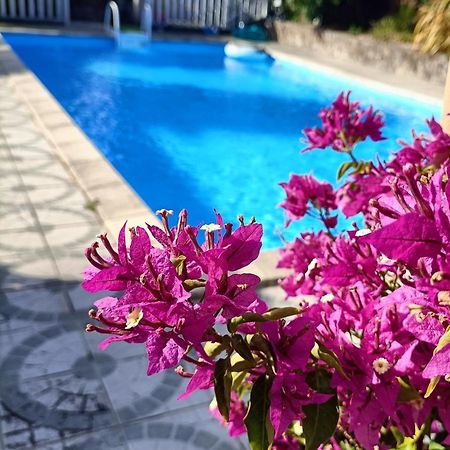 Les Bichettes Bed and Breakfast Mortagne-sur-Sevre Exteriör bild