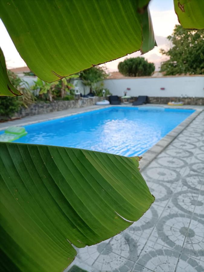 Les Bichettes Bed and Breakfast Mortagne-sur-Sevre Exteriör bild