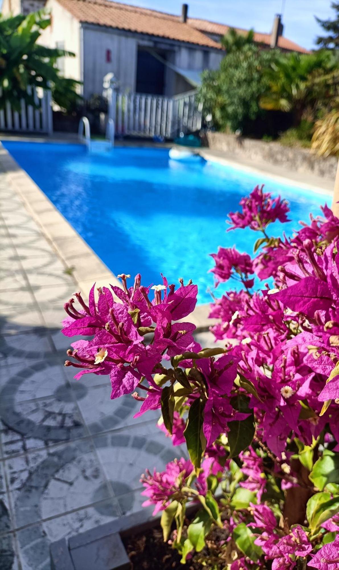 Les Bichettes Bed and Breakfast Mortagne-sur-Sevre Exteriör bild